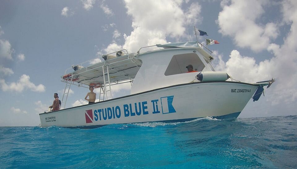 Studio Blue Cozumel Divers - All You Need to Know BEFORE You Go