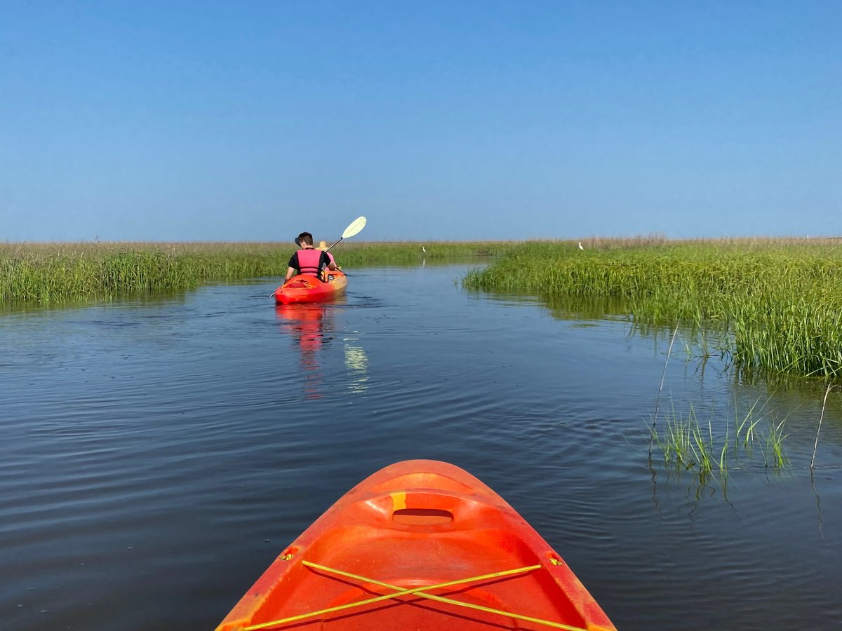 Turtle Tides Jekyll (Jekyll Island) All You Need to Know BEFORE You Go