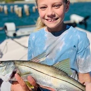 Sarasota do in today to what 30 Best