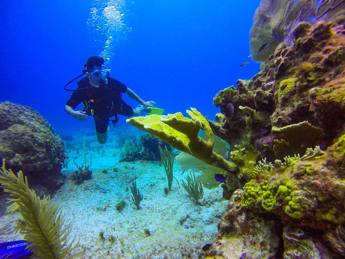 cancun diving trip