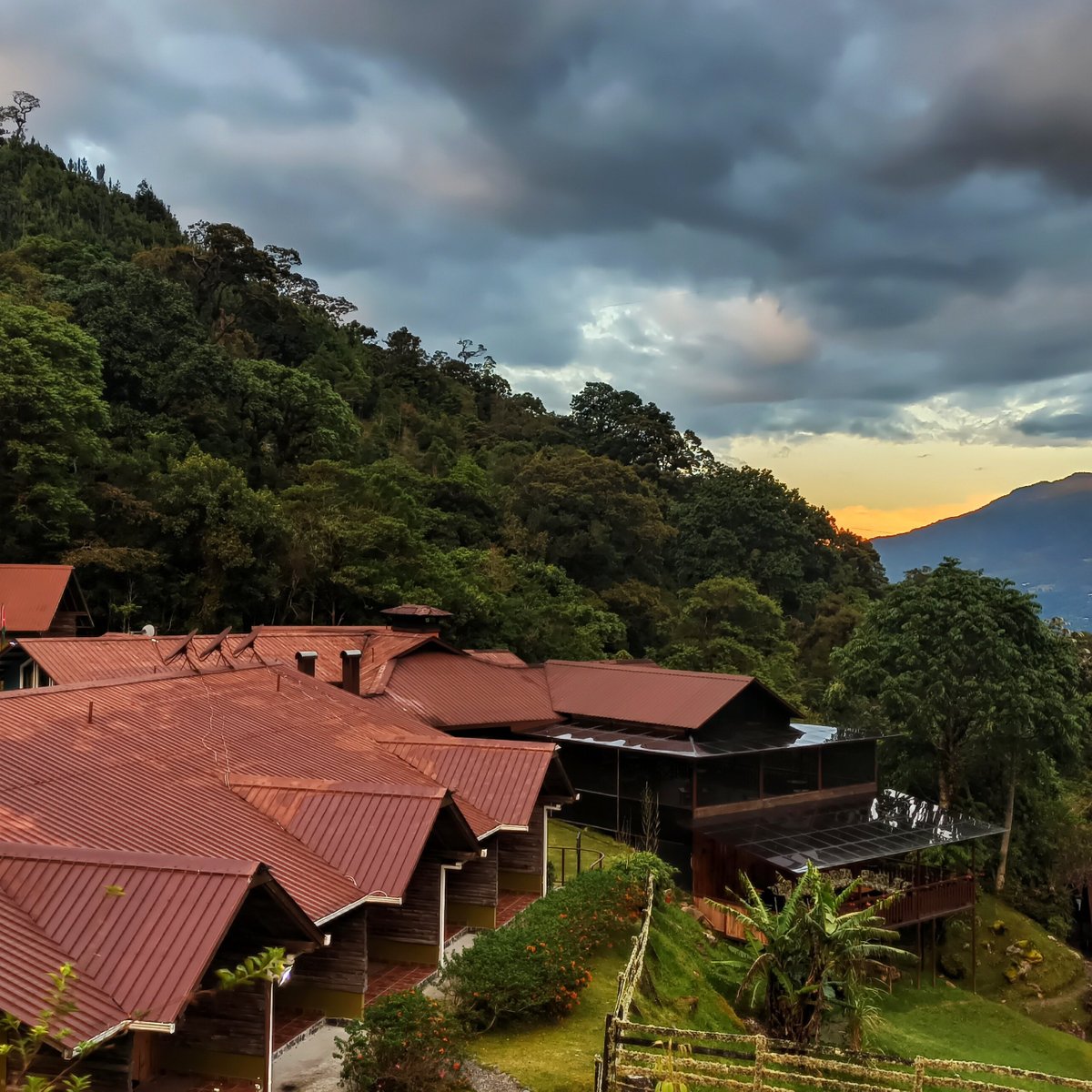 Tree Trek Boquete, Буке: лучшие советы перед посещением - Tripadvisor