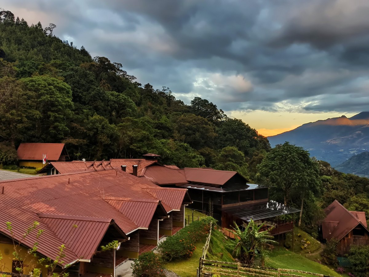 Tree Trek Boquete - All You Need to Know BEFORE You Go (2024)