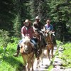 Swan Mountain Outfitters