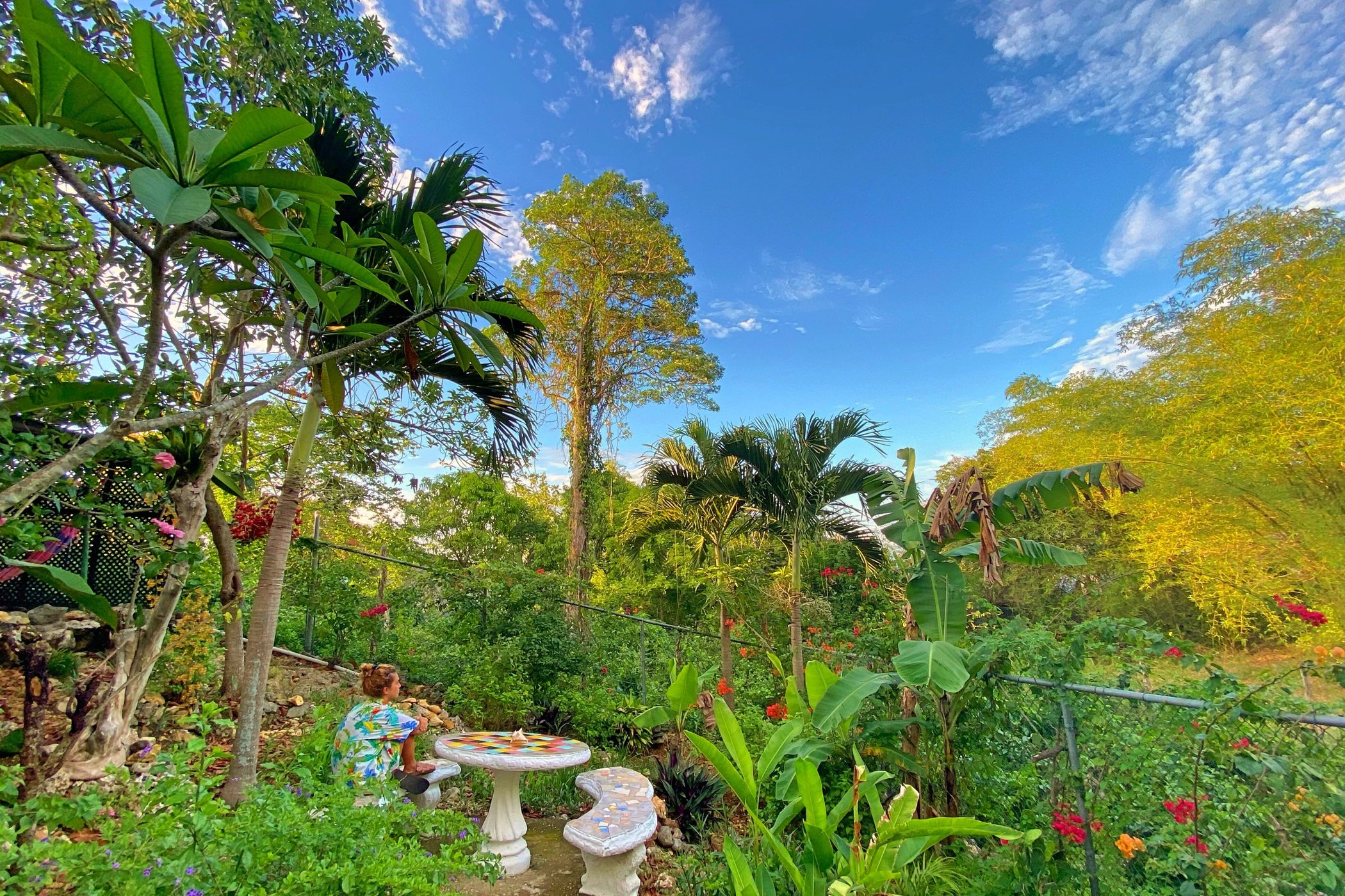 Judy House Cottages Negril by null