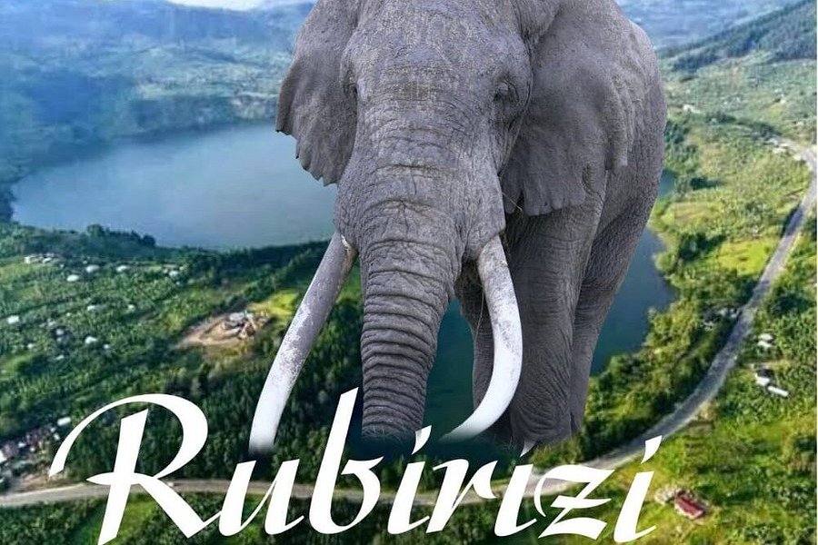 RUBIRIZI HUB SAFARIS image