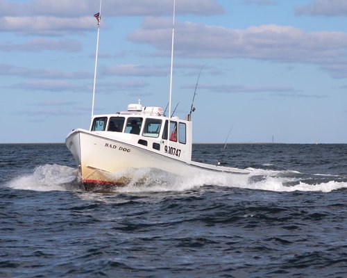 THE 10 BEST Cape Cod Fishing Charters & Tours (with Prices)