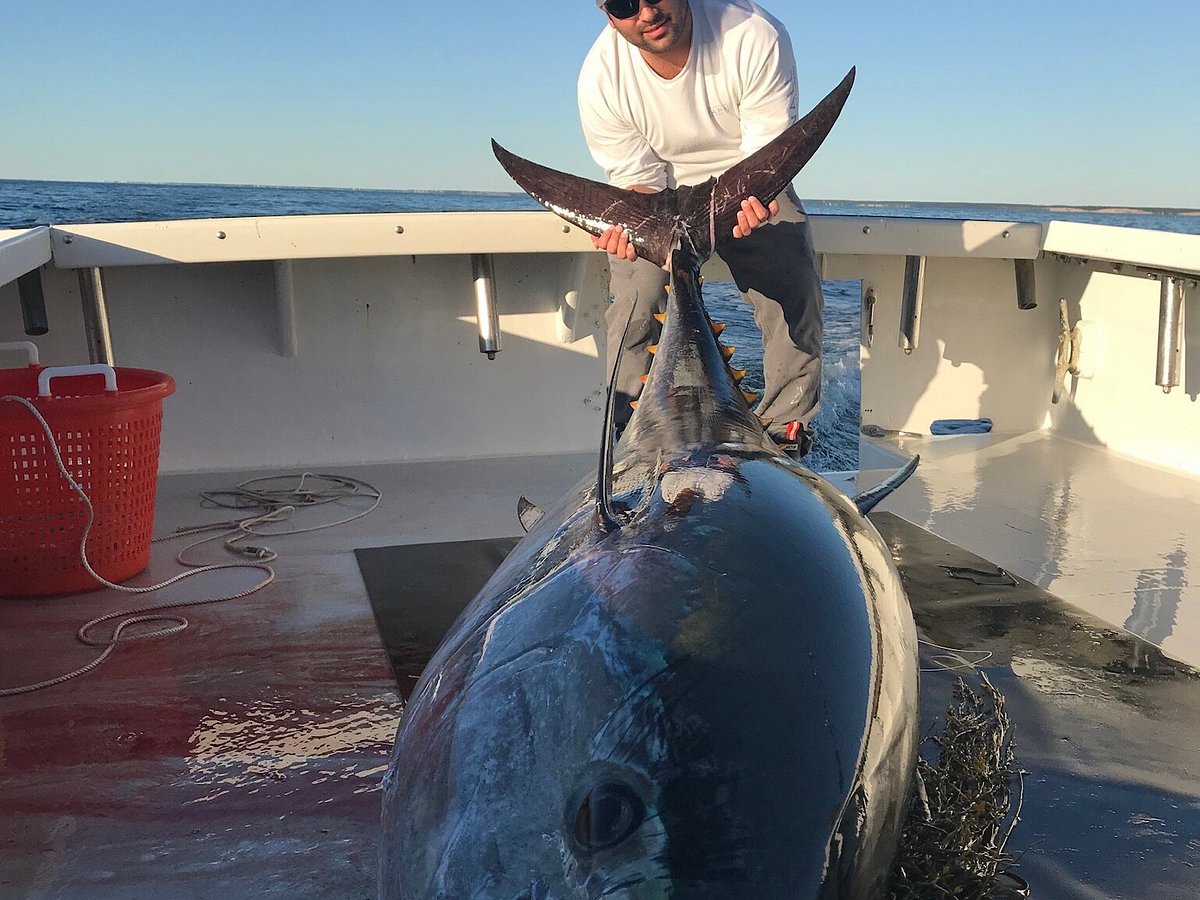 Big J and GetBentTV Catch Blue Fish for Cooking at Cape Cod, MA