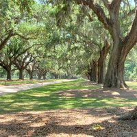 Gray Line of Charleston - All You Need to Know BEFORE You Go