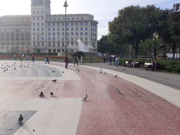 Imagen 12 de Plaza Catalunya