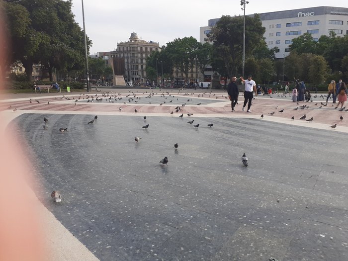 Imagen 11 de Plaza Catalunya