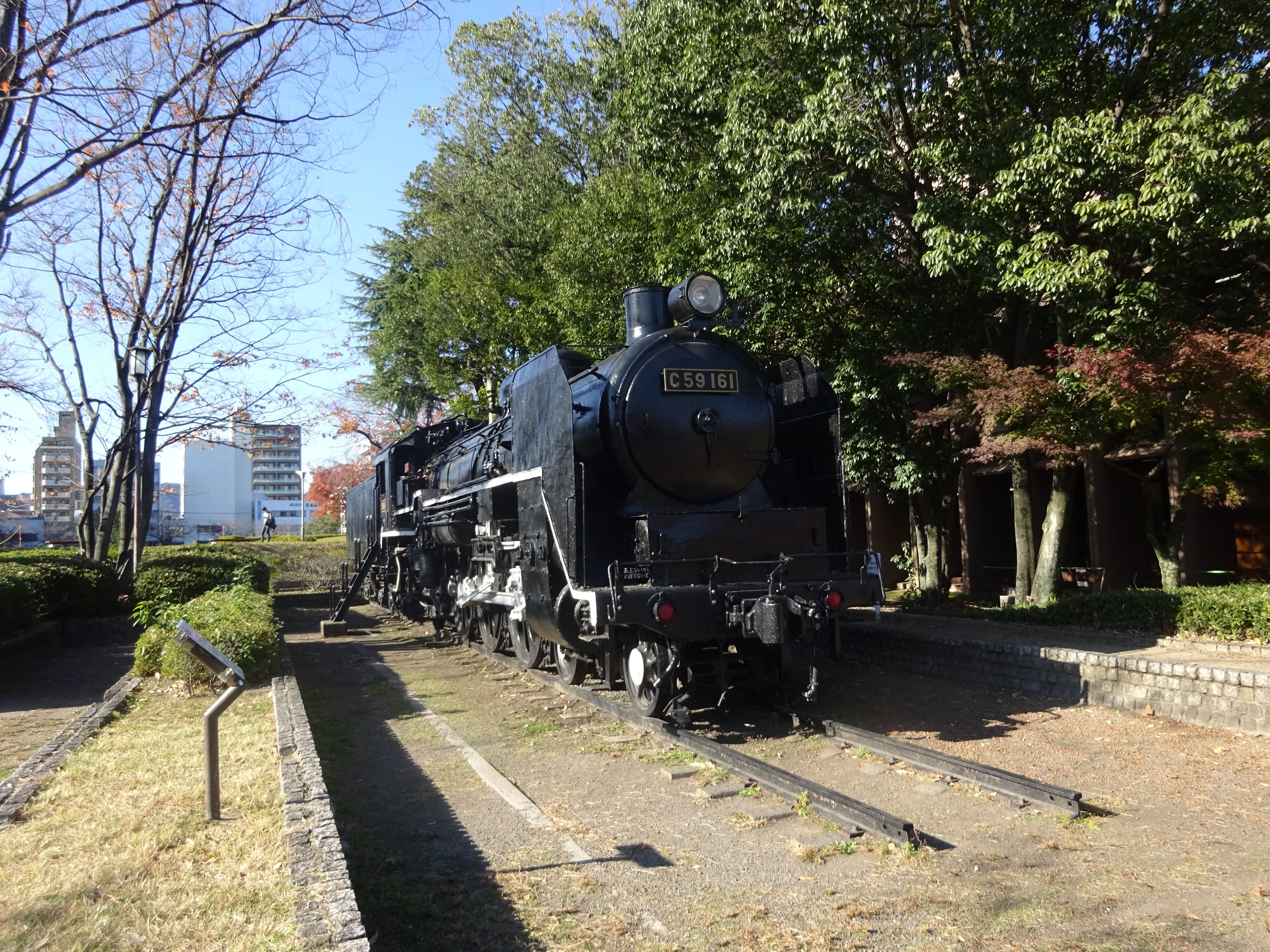 C59 Steam Locomotive (2025) - All You Need to Know BEFORE