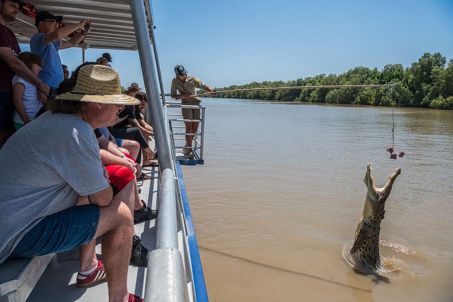 darwin crocodile tours