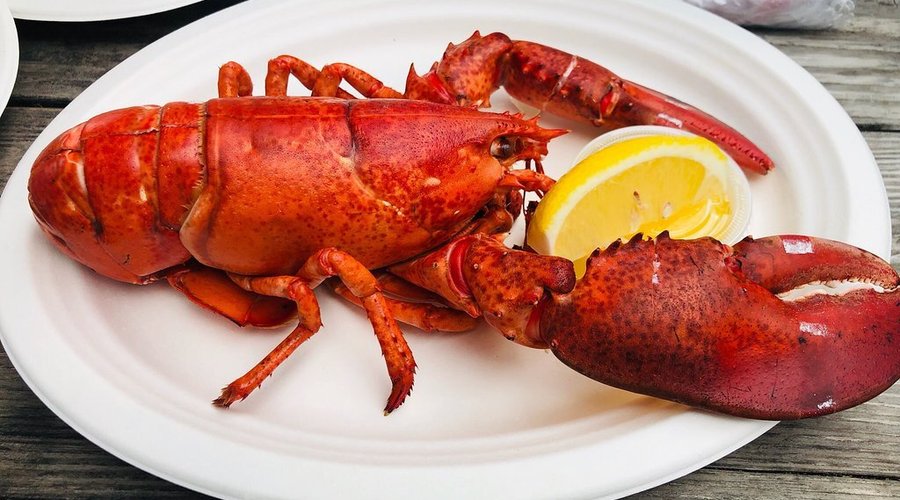 lobstah 