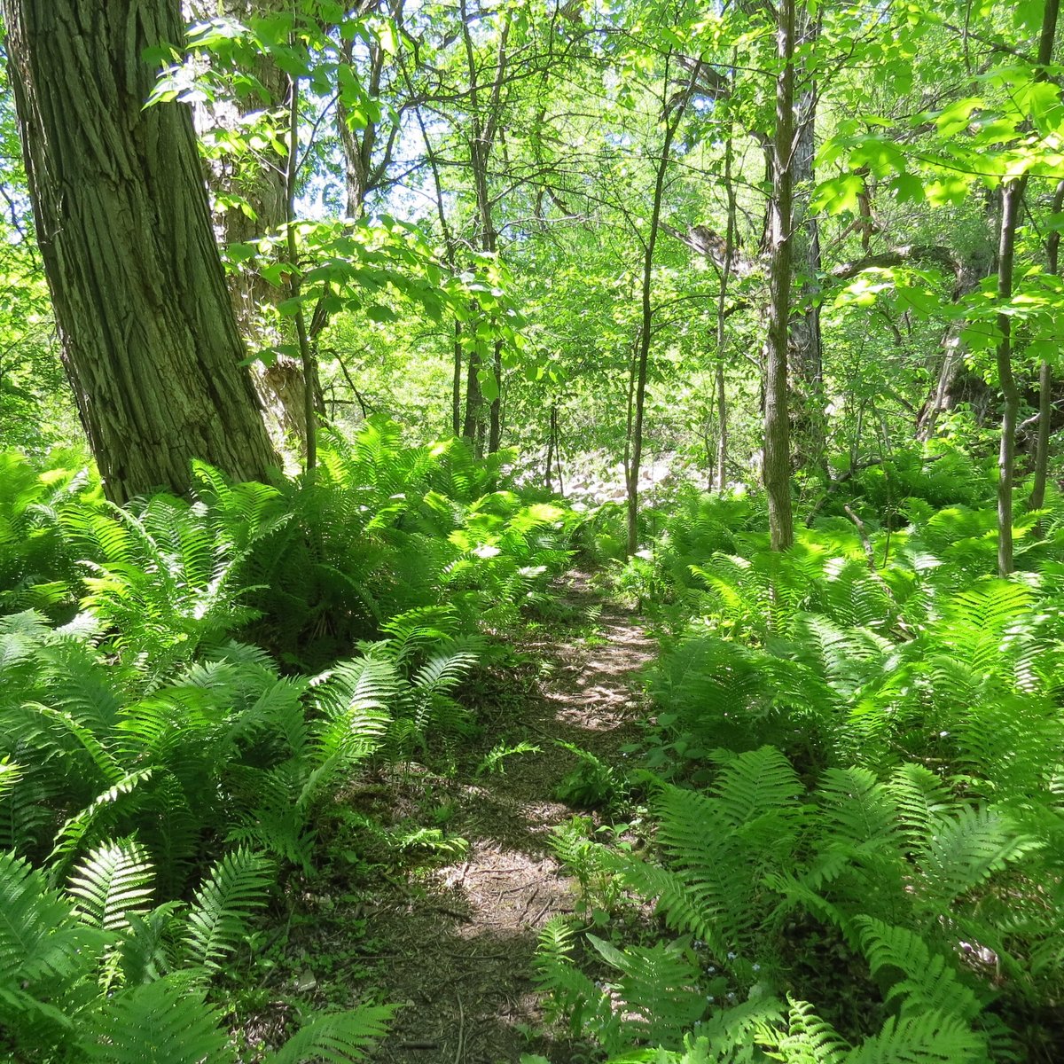 Parc De L'escarpement (Quebec City): All You Need to Know