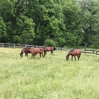 James Madison's Montpelier (Montpelier Station) - All You Need to Know ...