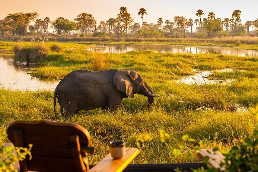 Best African Safaris image
