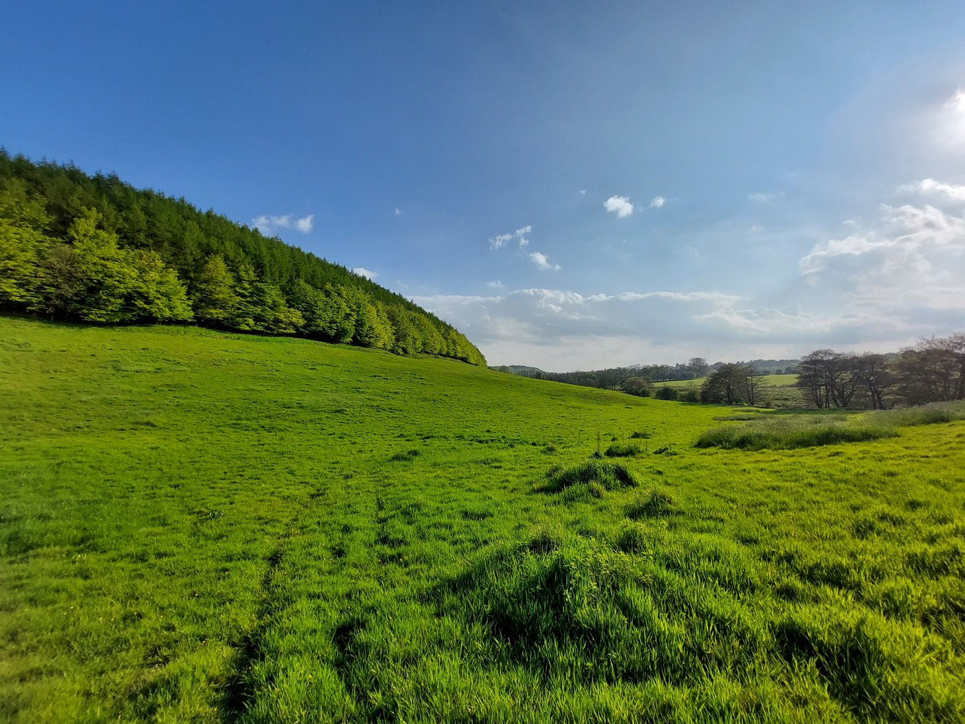 Rawcliffe House Farm Holiday Cottages And Studio Rooms - Updated 2024 