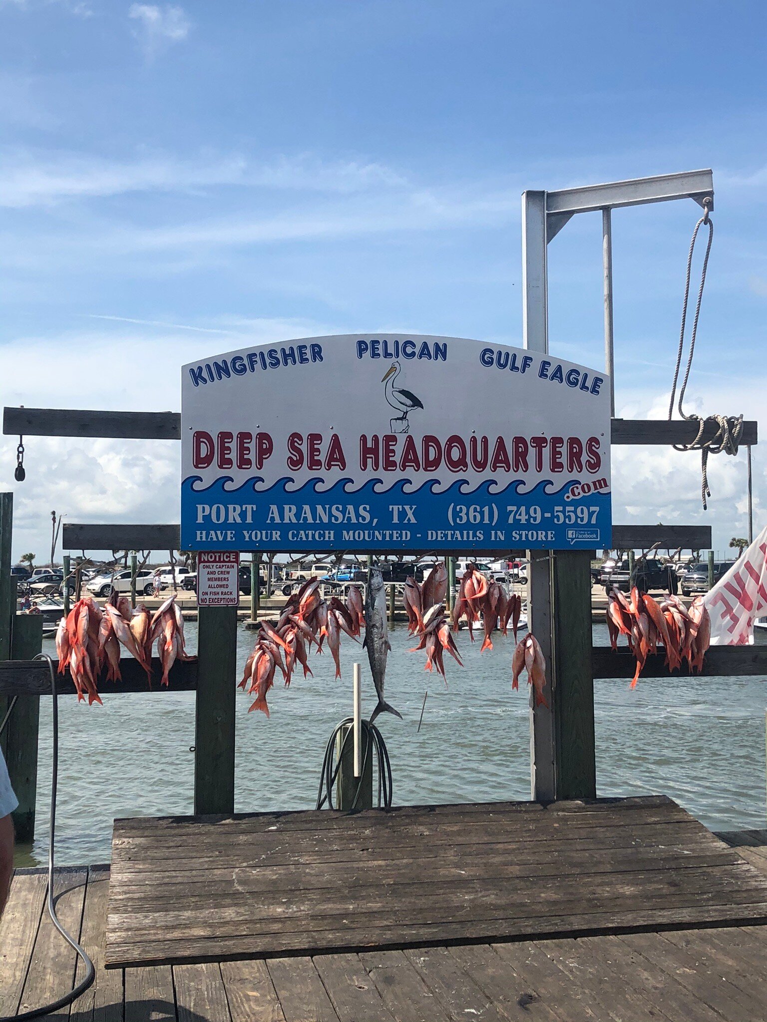 Deep Sea Headquarters Port Aransas All You Need To Know BEFORE You Go   Caption 