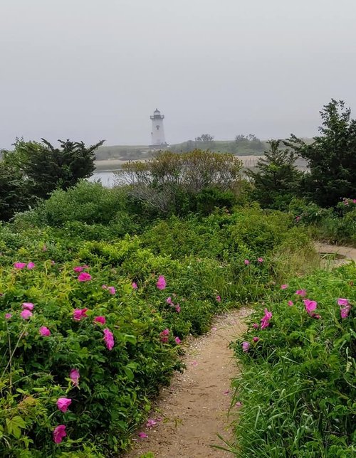 Martha's Vineyard review images