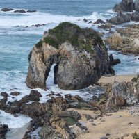 Horse Head Rock (Bermagui): All You Need to Know BEFORE You Go