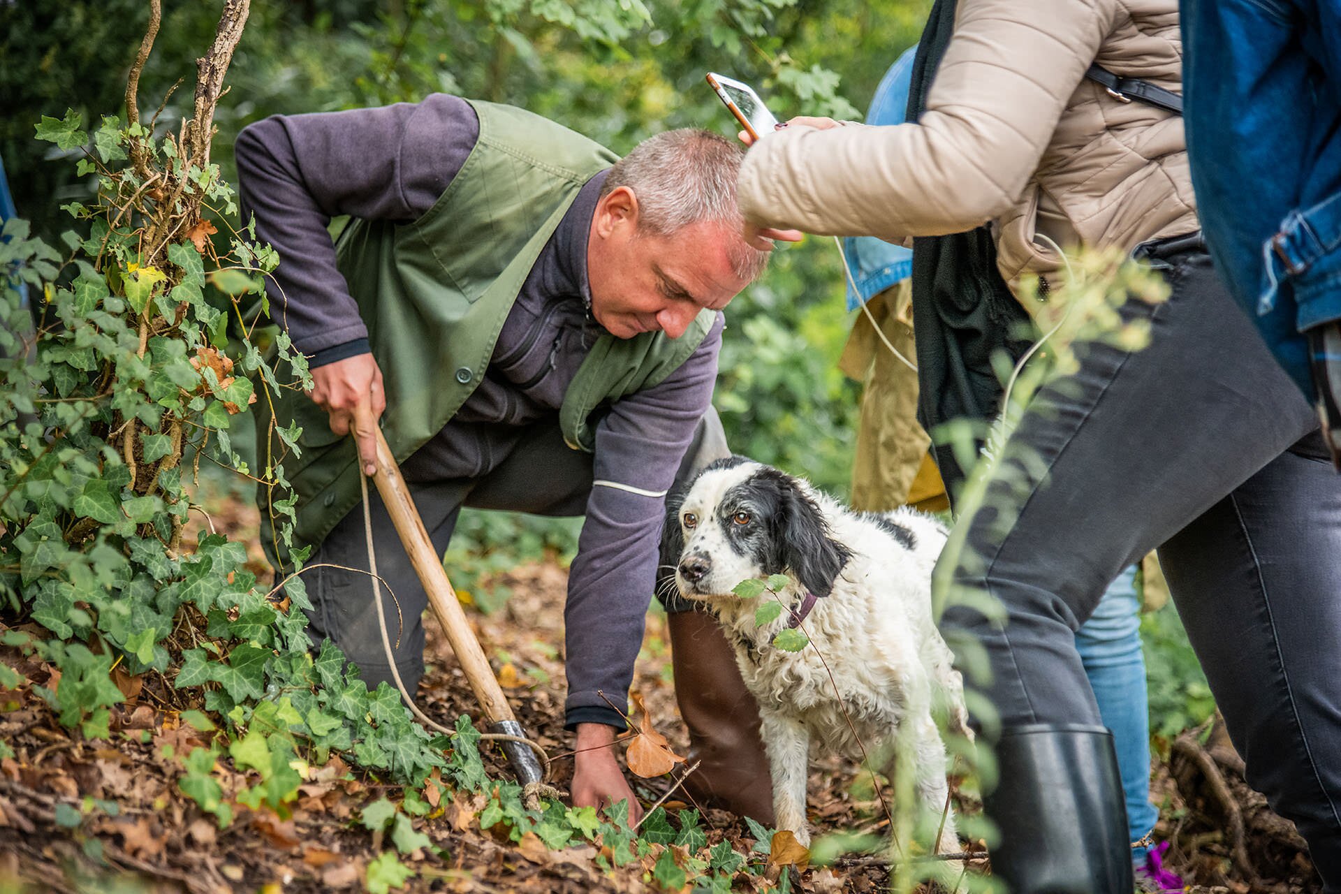 Truffle in Tuscany (Truffle hunting experience) - All You Need to Know BEFORE You Go (2024)