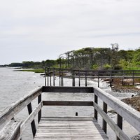 THE SUNKEN FOREST (Fire Island) - All You Need to Know BEFORE You Go