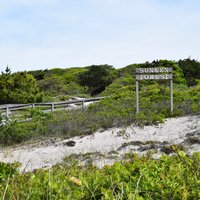 The Sunken Forest (Fire Island) - All You Need to Know BEFORE You Go