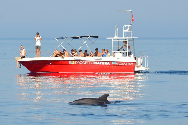 Tripadvisor | Snorkeling Nell'Area Marina Protetta Capo Carbonara ...