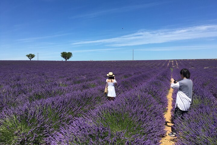 Tham quan hoa oải hương Valensole sẽ khiến bạn trầm trồ với vẻ đẹp tuyệt mỹ của cánh đồng hoa tím. Hãy sẵn sàng để tận hưởng khoảnh khắc thanh thản và cảm nhận những mảng màu tím tuyệt đẹp giữa không gian biển đồi trải dài.