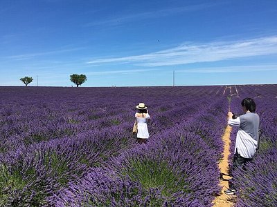 Công viên thiên nhiên tốt nhất ở Aix-en-Provence: Đến với Aix-en-Provence, bạn sẽ có cơ hội khám phá những công viên thiên nhiên tuyệt vời nhất. Xanh biếc của cây cỏ và hoa Lavender thơm ngát sẽ khiến bạn cảm nhận được sự thanh bình của thiên nhiên, tạo nên một kỳ nghỉ hoàn hảo và đáng nhớ.