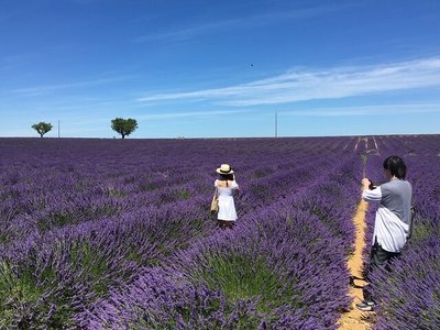 Valensole là một trong những điểm đến du lịch hấp dẫn nhất nước Pháp với khung cảnh tuyệt đẹp của những cánh đồng hoa oải hương đồng sắc màu. Hãy cùng nhau explore những góc khuất đầy màu sắc của vùng đất này.