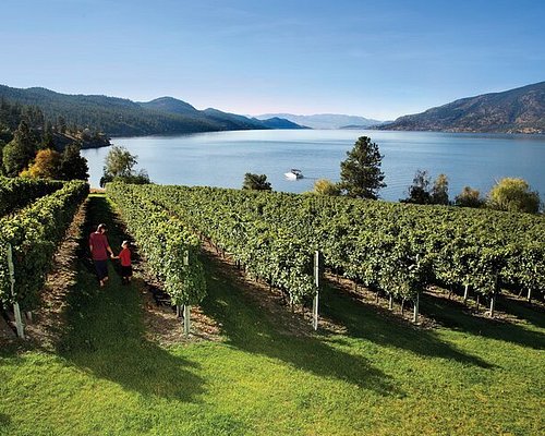 osoyoos wine tours packages