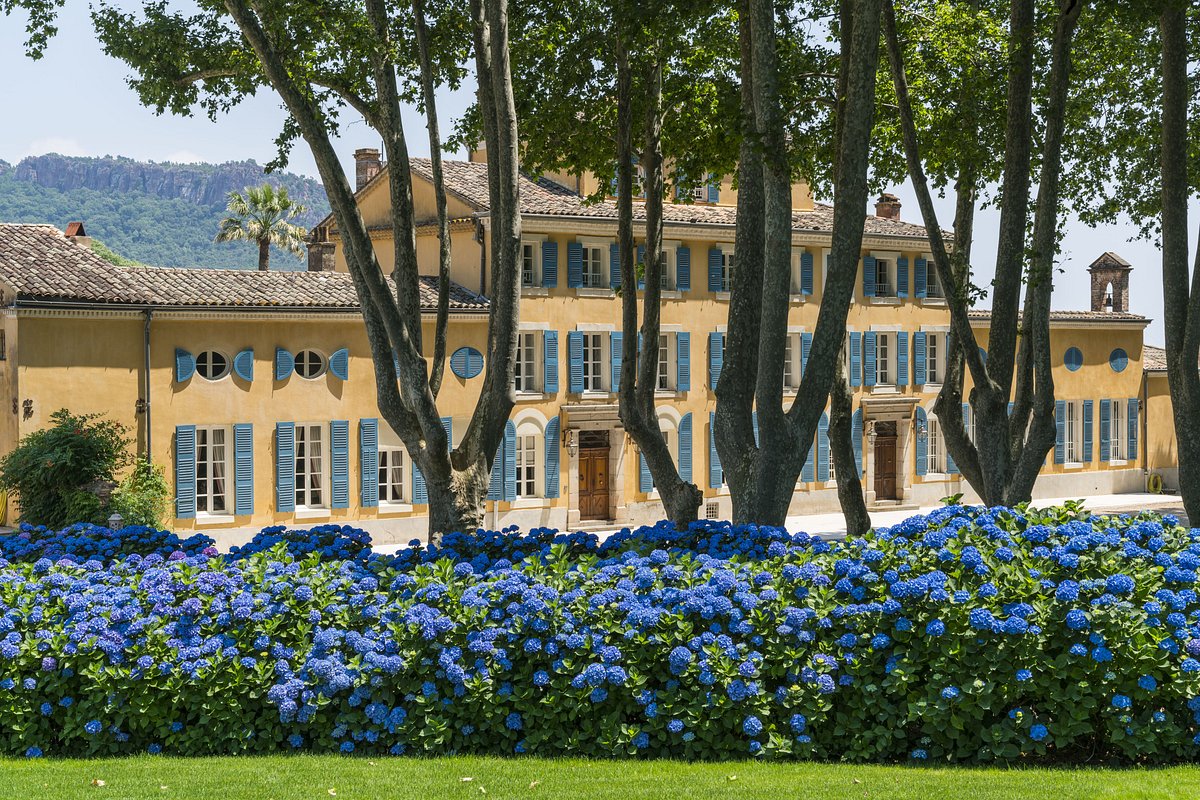 Chateau d'Esclans - All You Need to Know BEFORE You Go (with Photos)