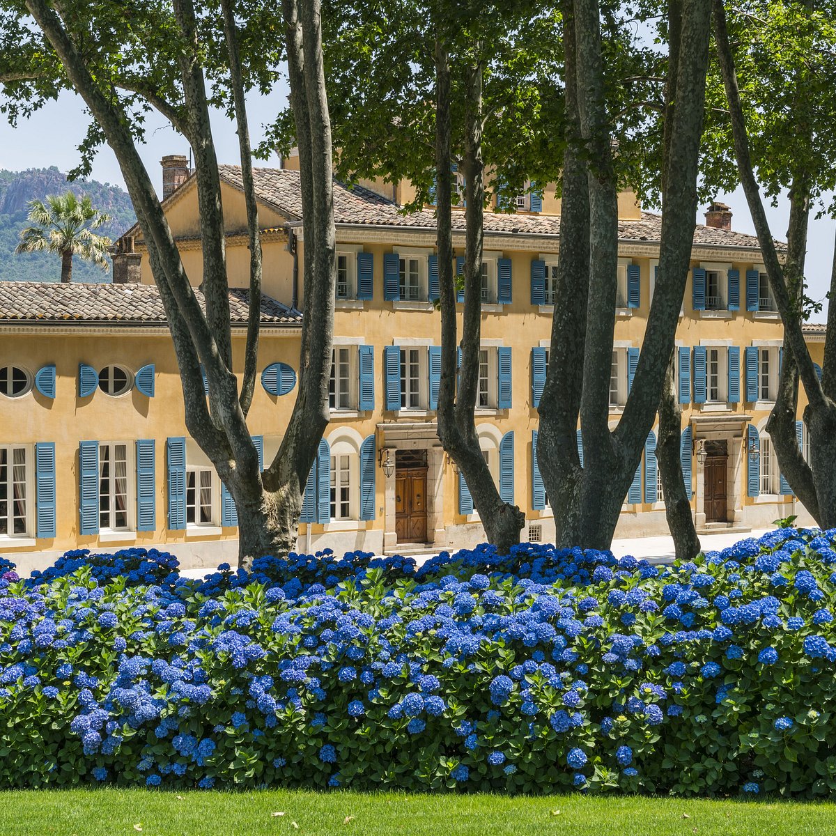 Chateau desclans Sacha Lichine Azure Wine Tour