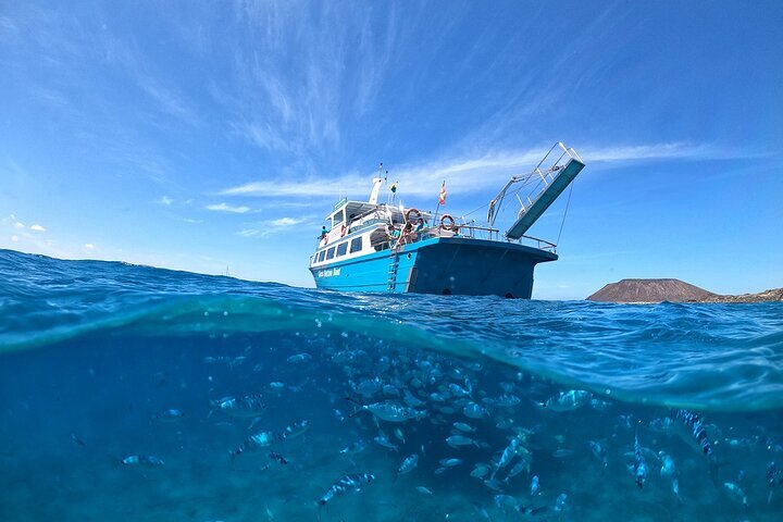 THE 5 BEST Fuerteventura Scuba Diving & Snorkeling (Updated 2023)