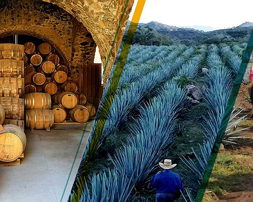 tequila tours near me