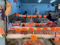 Mercado del Mar (Guadalajara) - 2023 Lo que se debe saber antes de viajar -  Tripadvisor