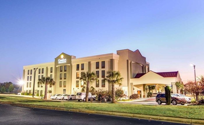 COMFORT INN & SUITES ATHENS - Updated 2024 Prices & Hotel Reviews ...