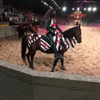 Medieval Times (Myrtle Beach) - All You Need to Know BEFORE You Go