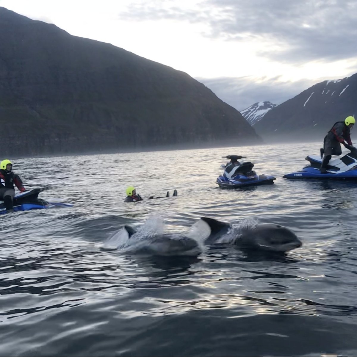 FAIRYTALE AT SEA (Olafsfjordur) - All You Need to Know BEFORE You Go