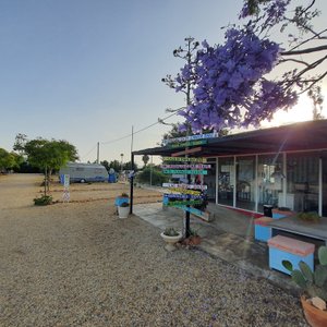 Recepción 