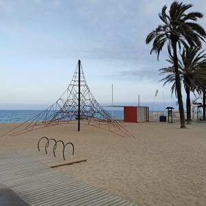 A diver finds a bag of bones on the Coco beach in Badalona