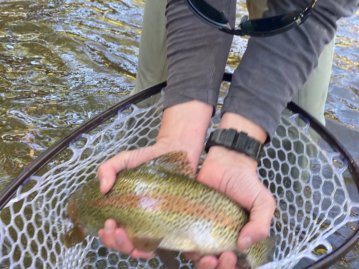 Fly Fishing Trips by Aspen Trout Guides