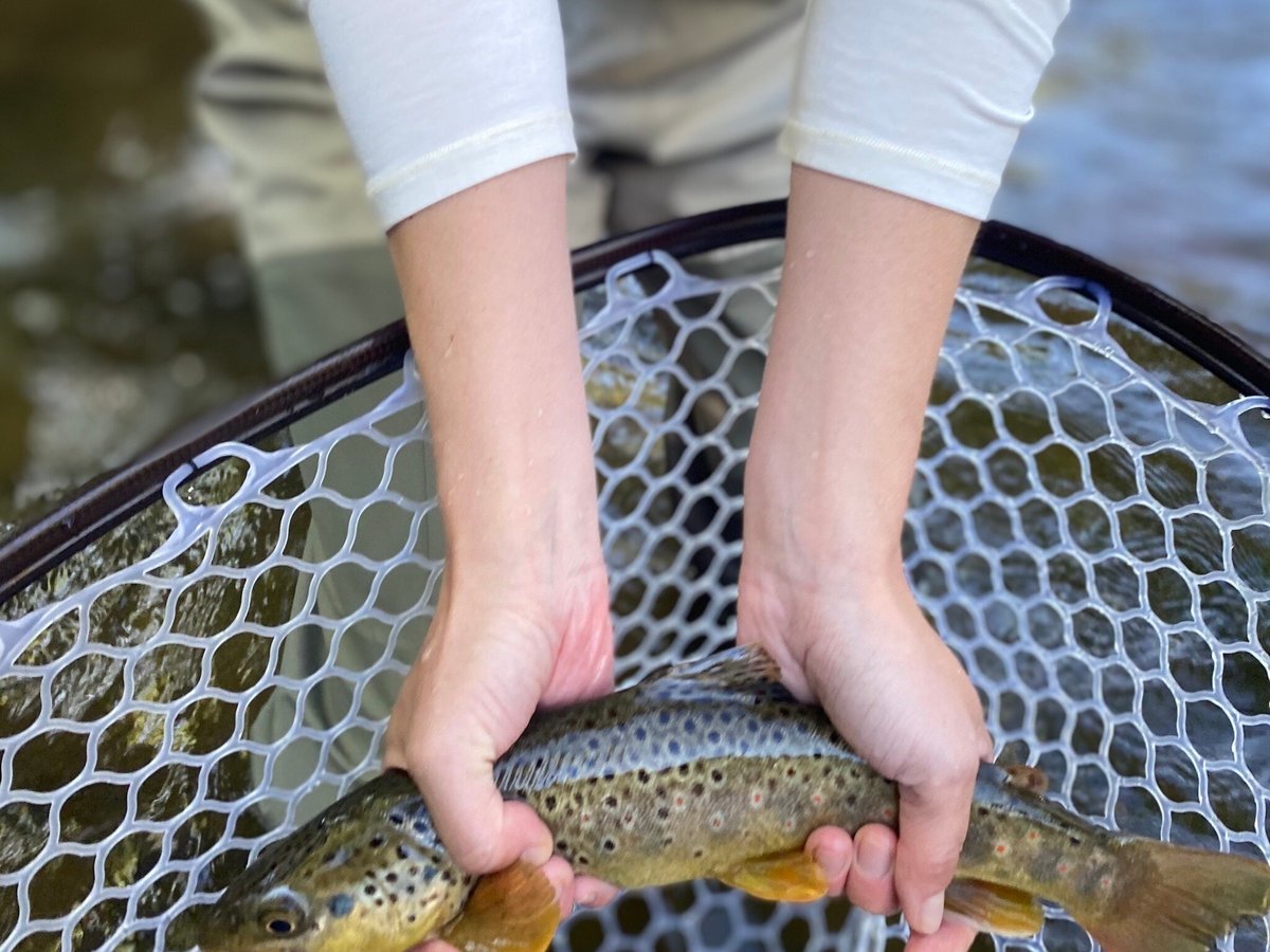 Fly Fishing Trips by Aspen Trout Guides