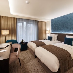 Deluxe Twin Room