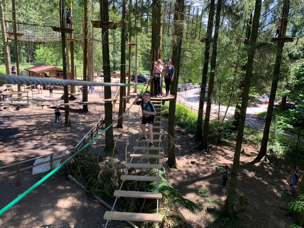 Go Ape Forest of Dean Beechenhurst - All You Need to Know BEFORE You Go ...