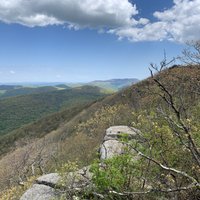 Mary's Rock Summit Trail (Shenandoah National Park) - All You Need to ...