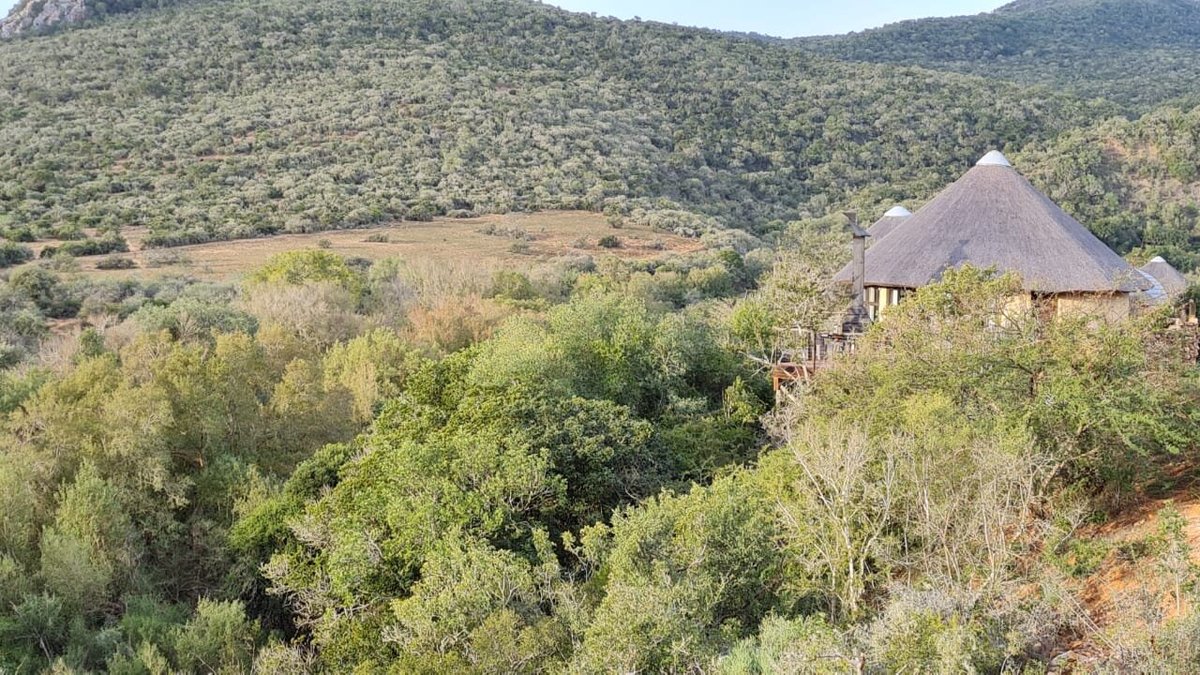 NYATHI REST CAMP (Addo Elephant National Park) - Cottage Reviews ...