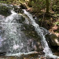 Falls Branch Falls (Cherrylog) - All You Need to Know BEFORE You Go