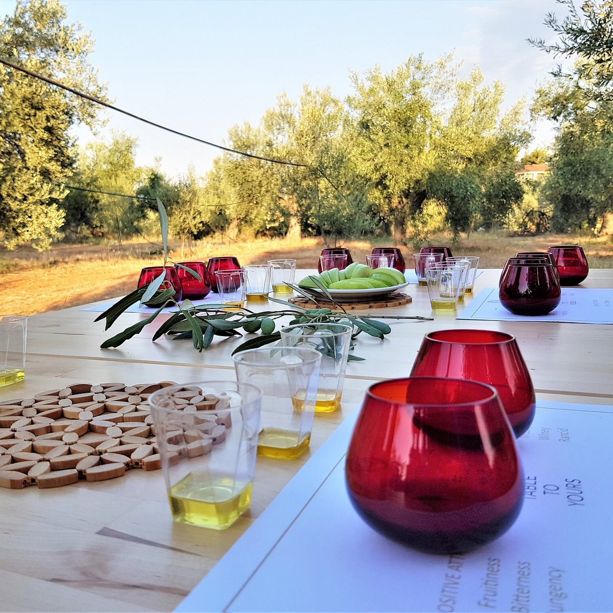 Olive-oil Soap Making Workshop  Athens Insiders - Private Tours in Greece